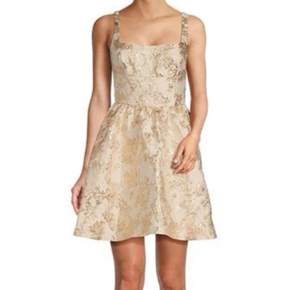 NWT Antonio Melani Felicity Dress